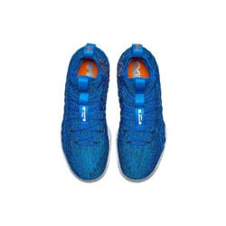 Nike LeBron 15 - Chaussure Hommage Légende Vivante